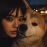 aiko-atami avatar