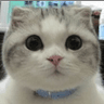 chanjarster avatar