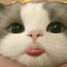 dreamlonglll avatar