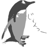 jacopen avatar