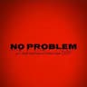 no-problem-dev avatar