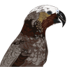 r-lib avatar