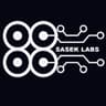 saseklab avatar