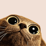 schrepa avatar